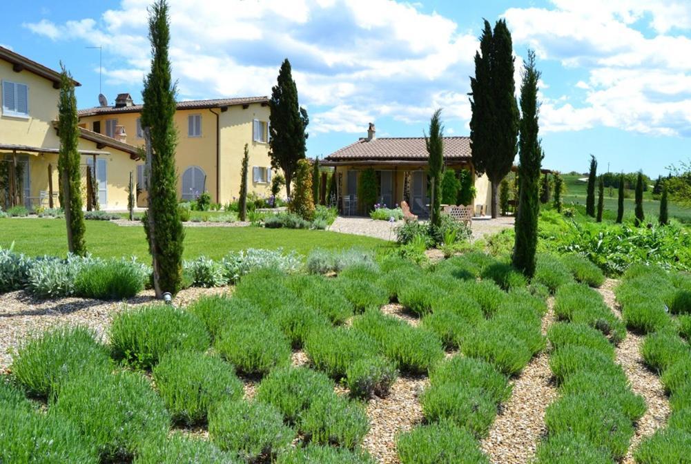 Villa Rinidia Bio Sovicille Exterior foto